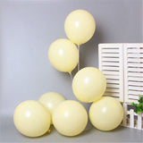 Ecobloom Mart Macaron Candy Color Balloons