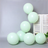 Ecobloom Mart Macaron Candy Color Balloons